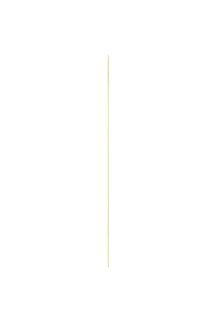 Wandspiegel JOSEPHINE 30x70 cm goldfarbig