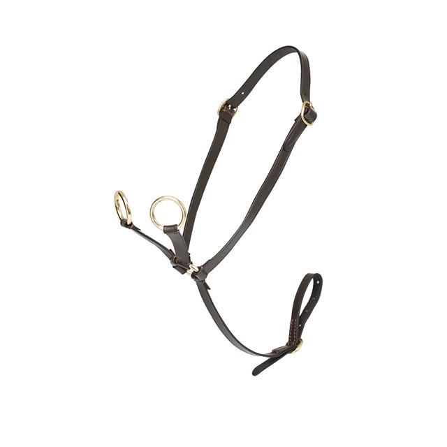 Martingaal LeMieux Toy Pony Bruin