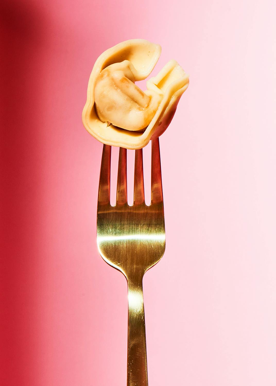 Bio Tortelloni mit Linse und Chili 250 g