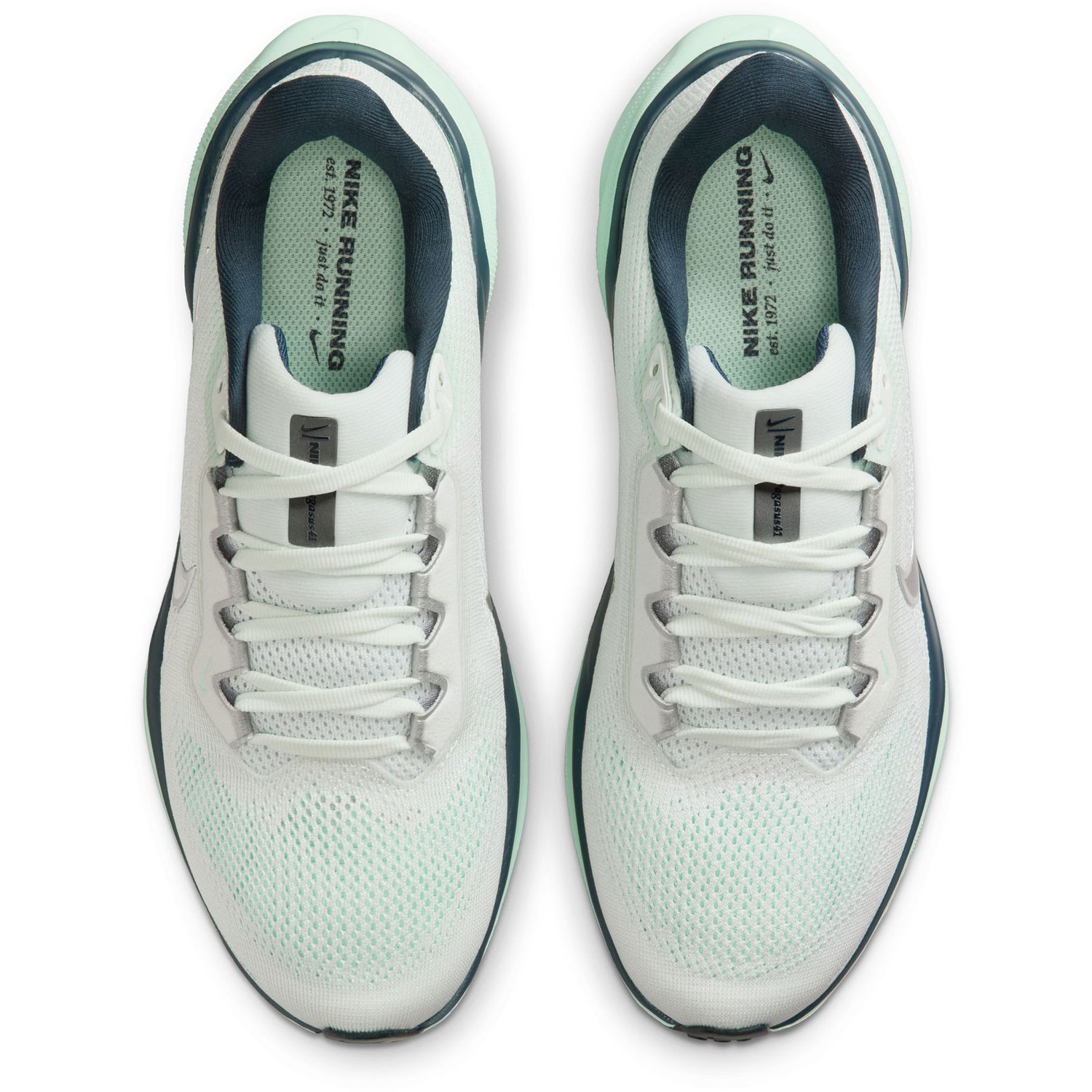Nike Pegasus 41 Dames