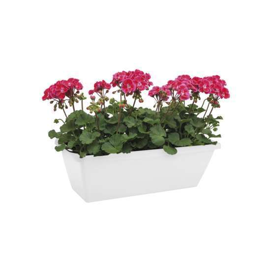 Jardinière barcelona en plastique blanc - 50x19,5x15,6 cm