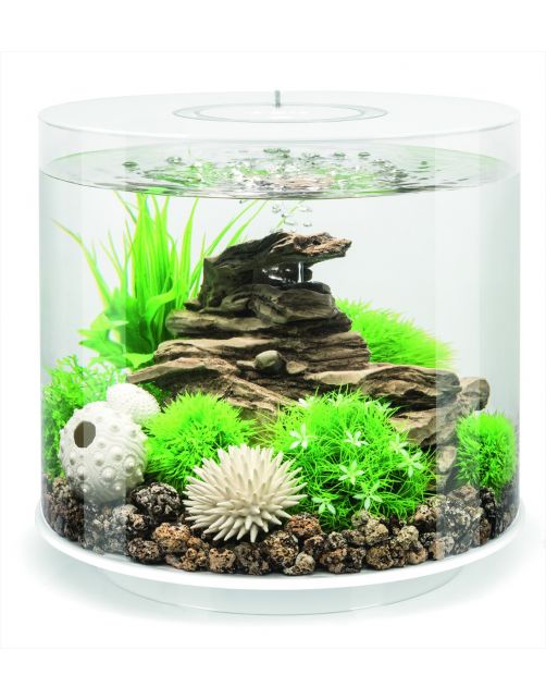 Biorb Aquarium Tube 15 Mcr - Aquaria - 15 l Wit