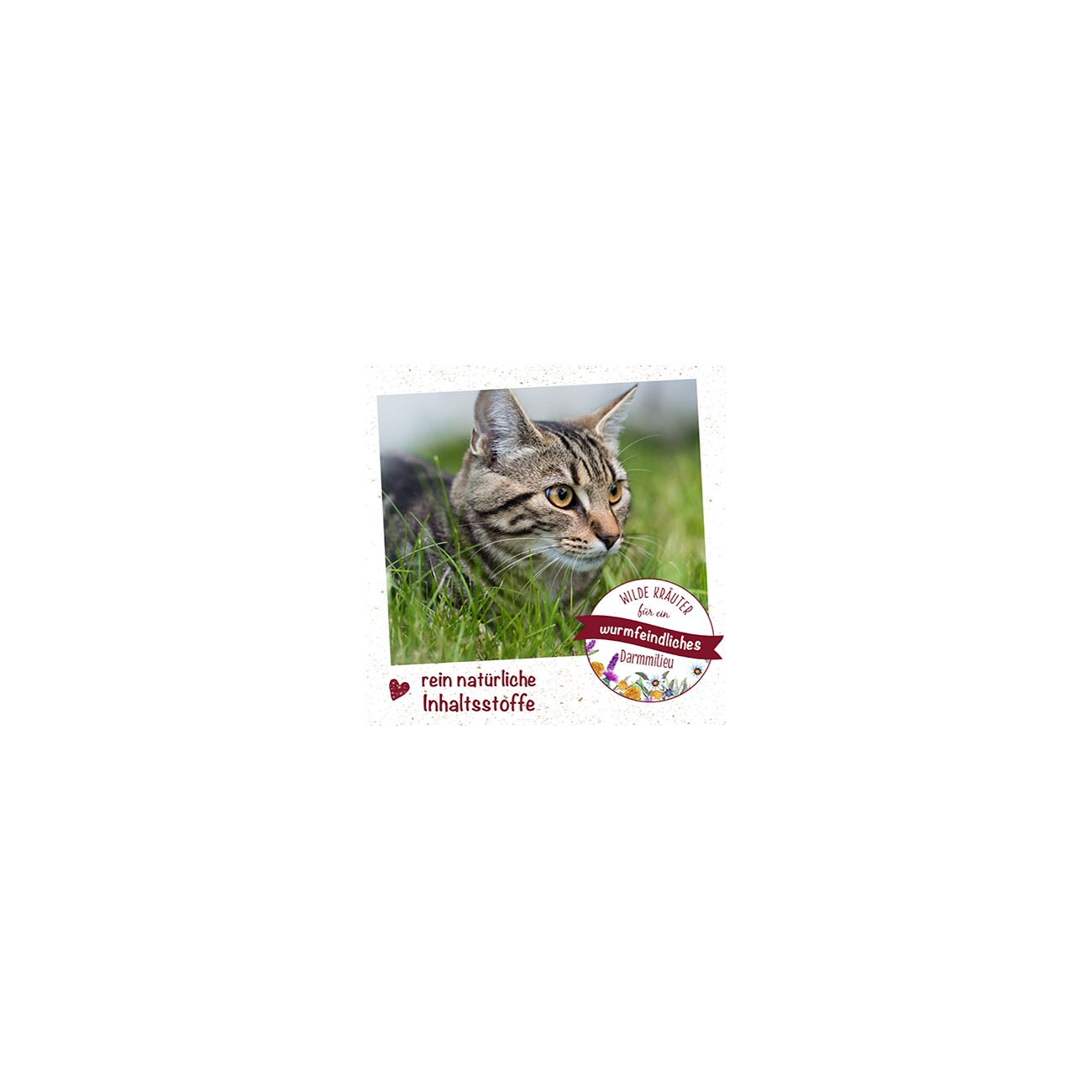 cdVet feliTATZ WK-Mix 25g 25 g