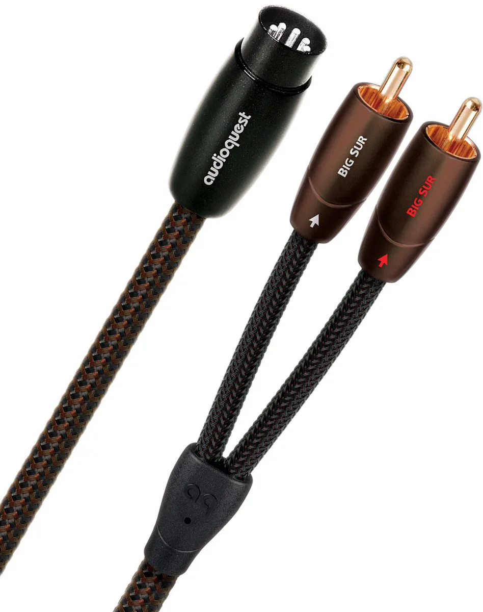 Audioquest Big Sur DIN/RCA (12 m) Câbles stéréo DIN