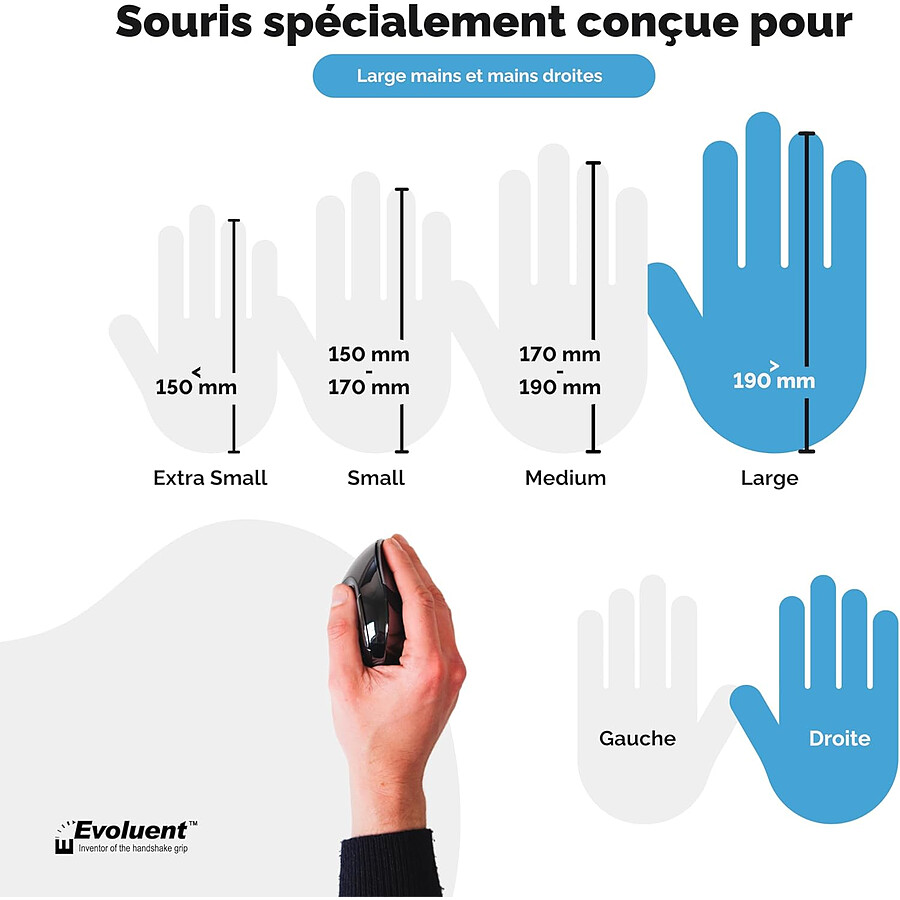 Evoluent VerticalMouse D Wireless Large