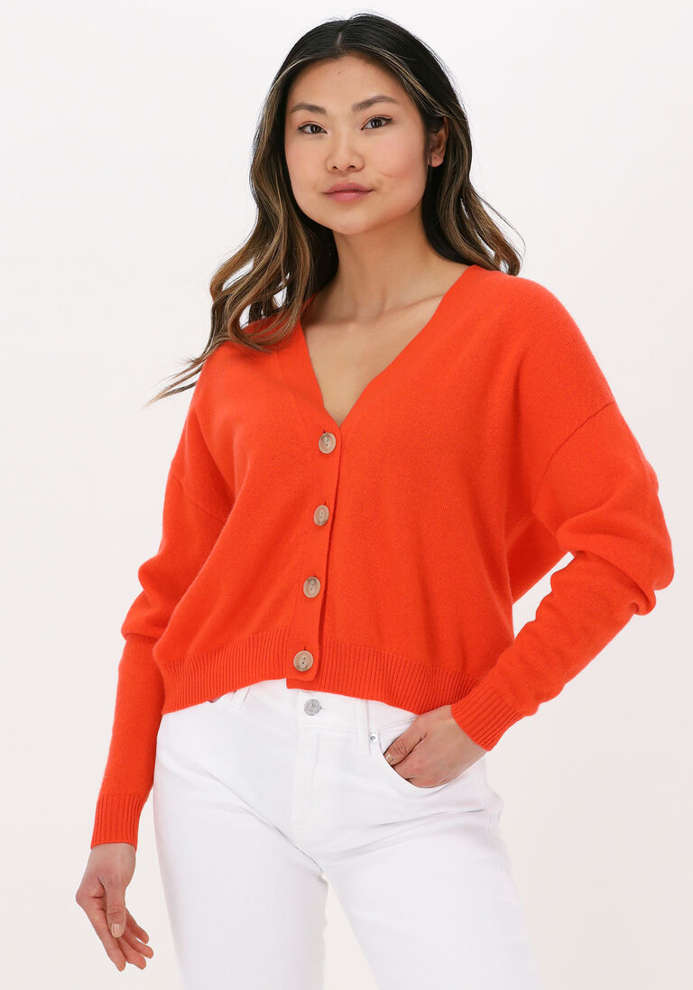 NOT SHY oranje not shy vest juana