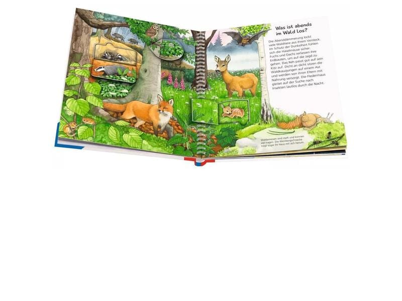 Ravensburger Kinder-Sachbuch WWW Tiere bei uns Klappbuch