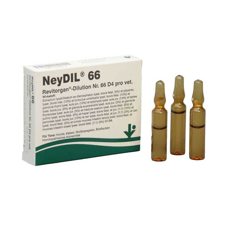 NeyDIL Nr. 66 Revitorgan D4 pro vet. Ampullen, 5X2 ml