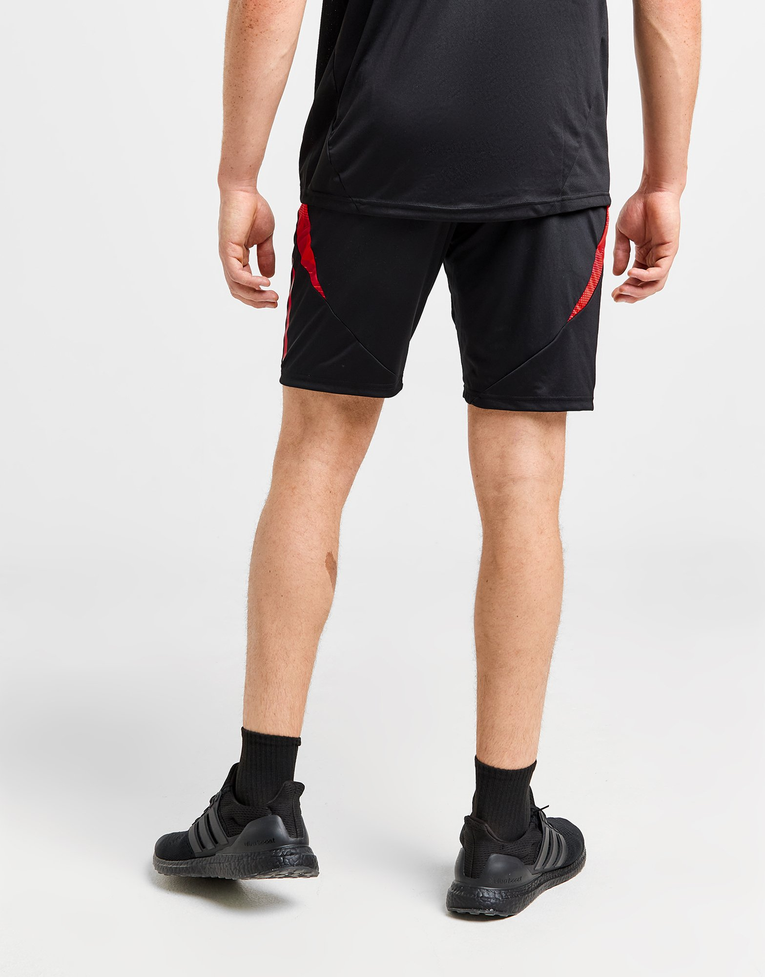 adidas Short d'entraînement Belgique Homme