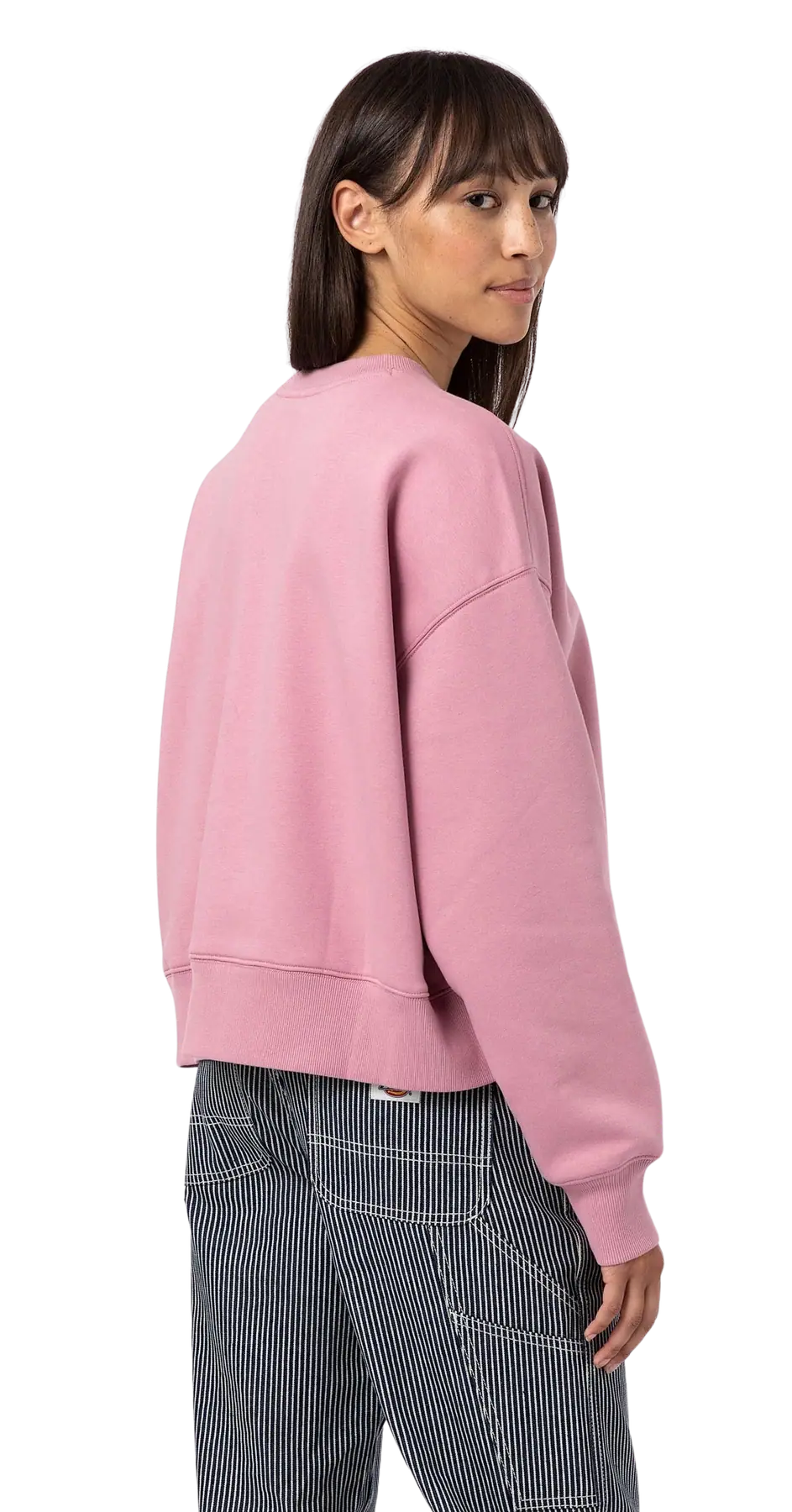 Dickies Summerdale Dame Sweatshirt | SkatePro