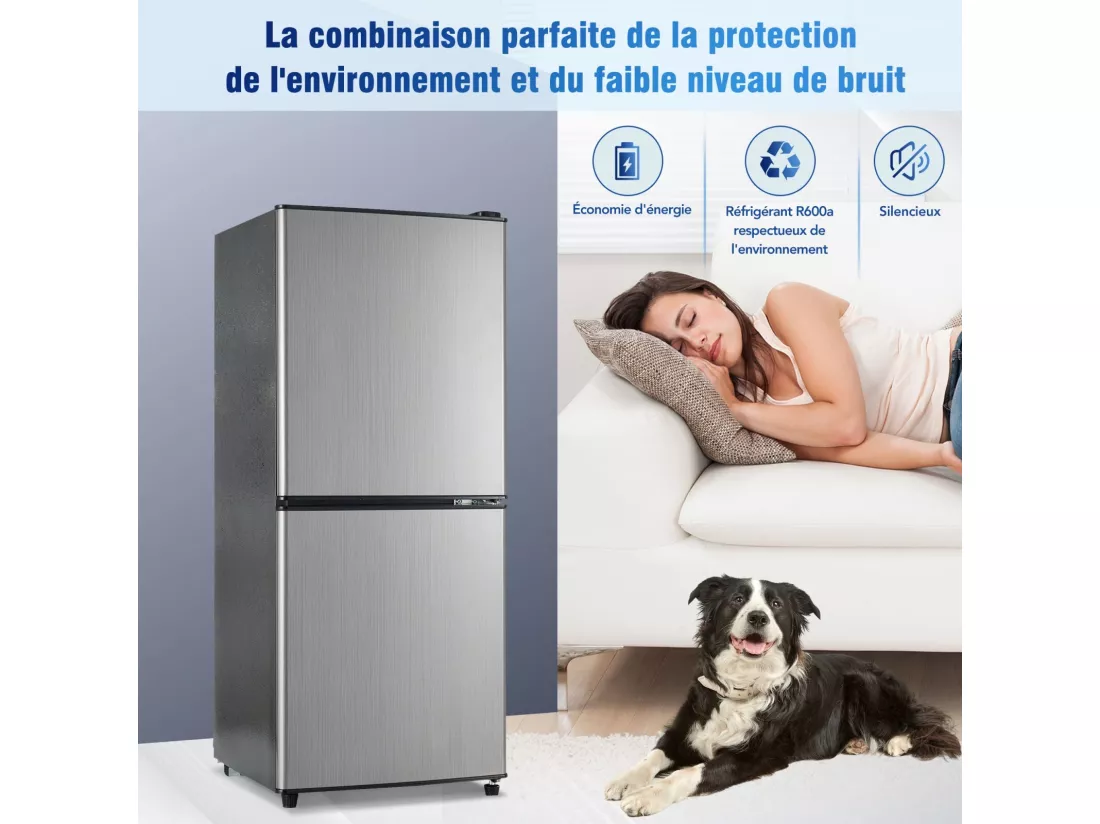 106L Réfrigérateur Argenté+noir, avec cloison en verre et pieds réglables, 7 température, -25~10 ℃, Classe d'efficacité énergétique E