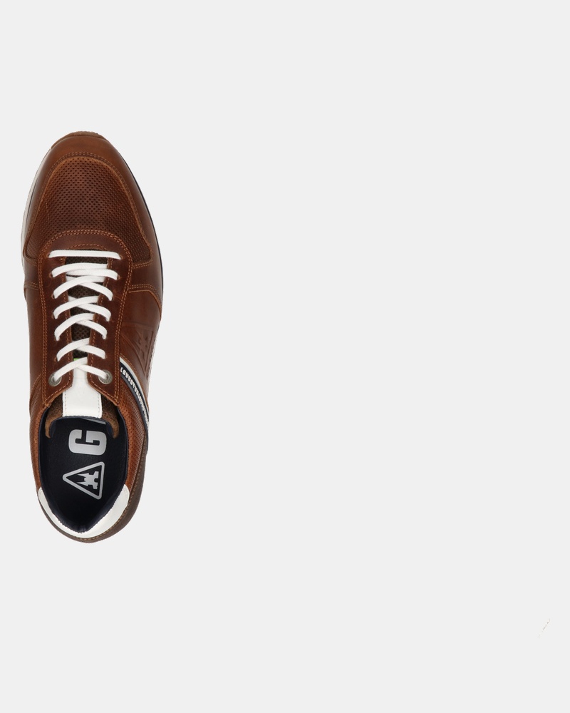 Gaastra Kevan Lage sneakers  - cognac