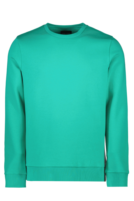 Cars groene heren sweater