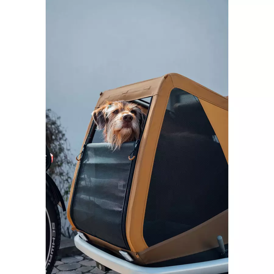 CROOZER Hundefahrradanhänger Dog Tammo Sundown yellow