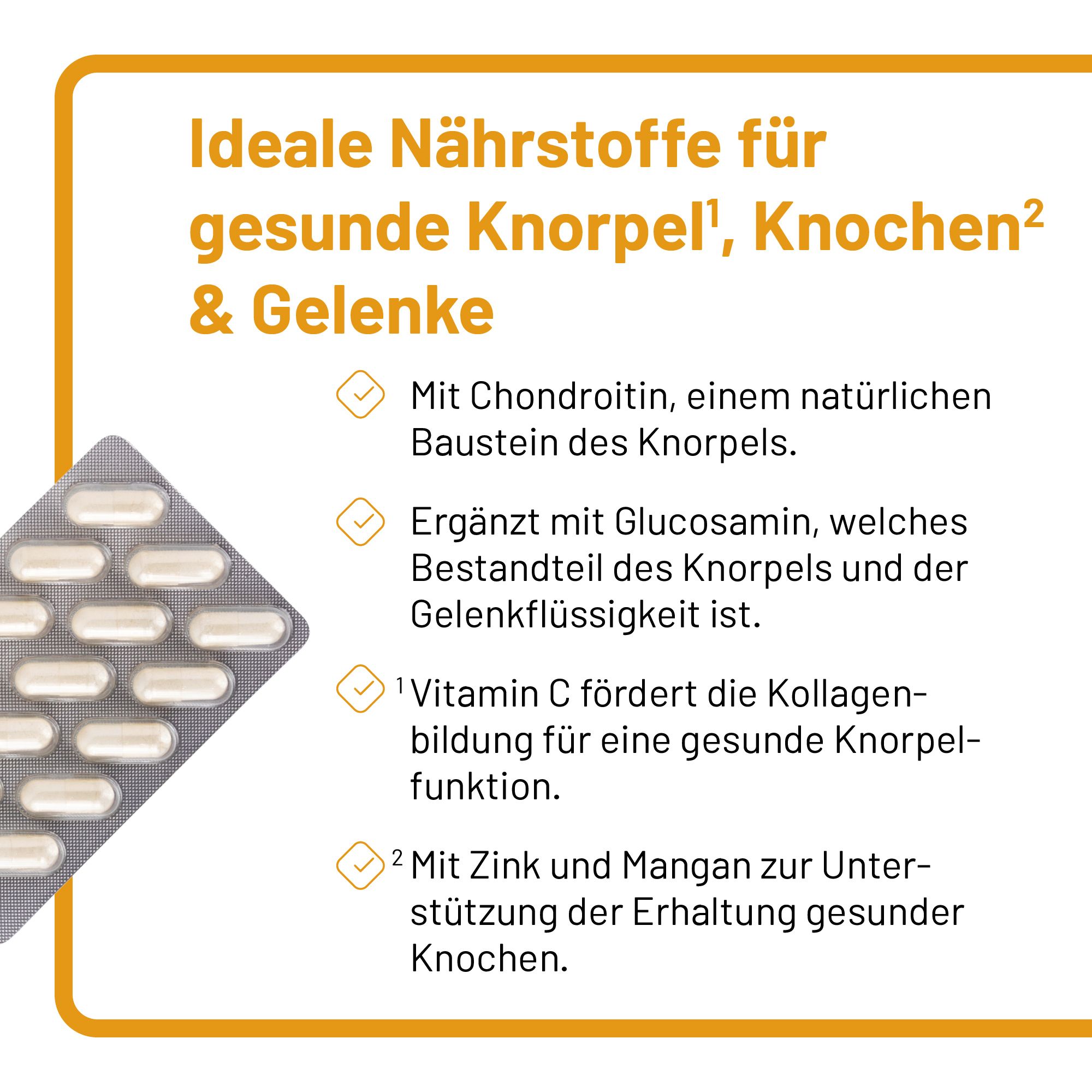 Vitazell®-Arthro Kapseln