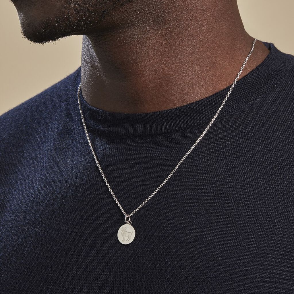 Pendentif Zodiaque Rond Argent Blanc