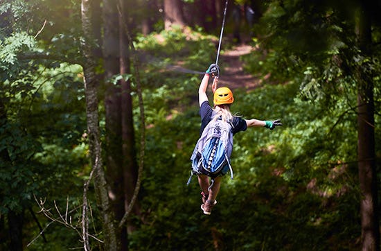 Ziplinepark in Elmstein – von Baum zu Baum