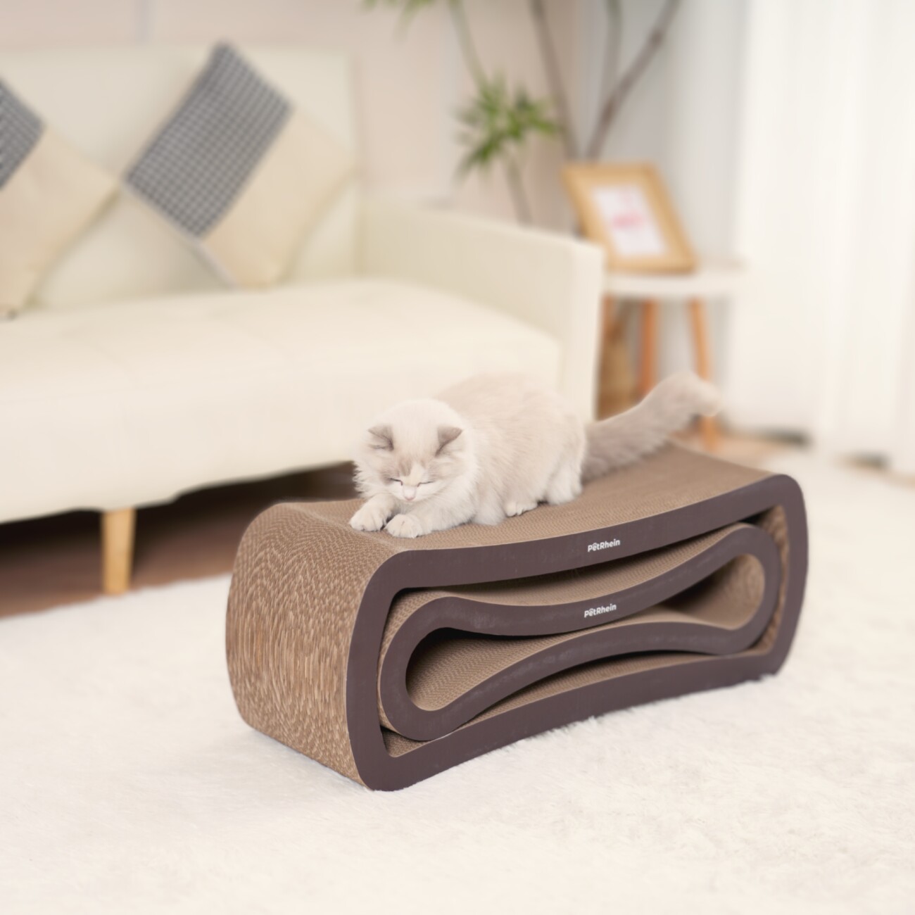 AstroPet PetRhein Kratzpappe Ascent Paw braun