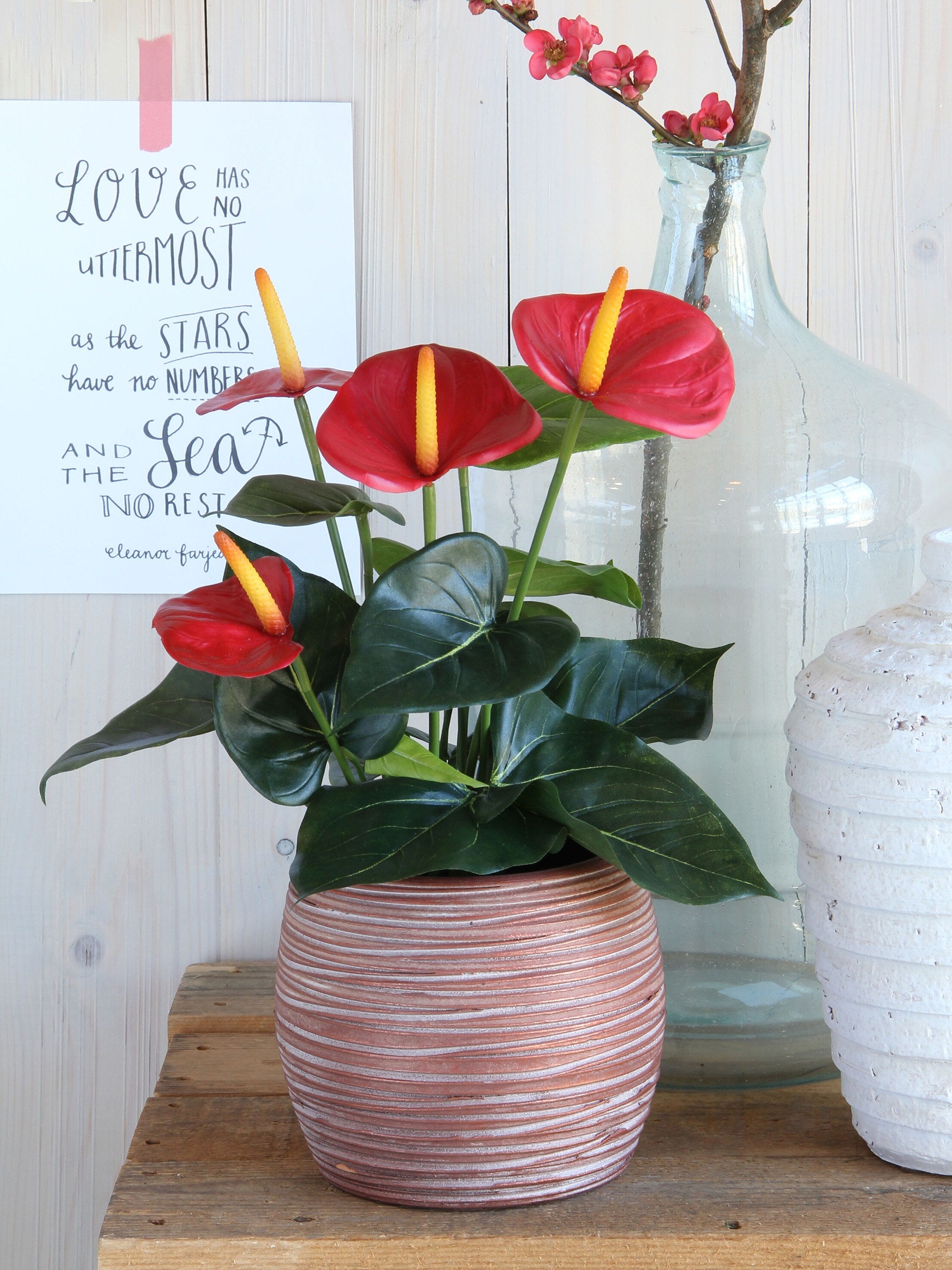 Mica Decorations Anthurium rood in pot Stan grijs d11,5cm - h40xd30cm