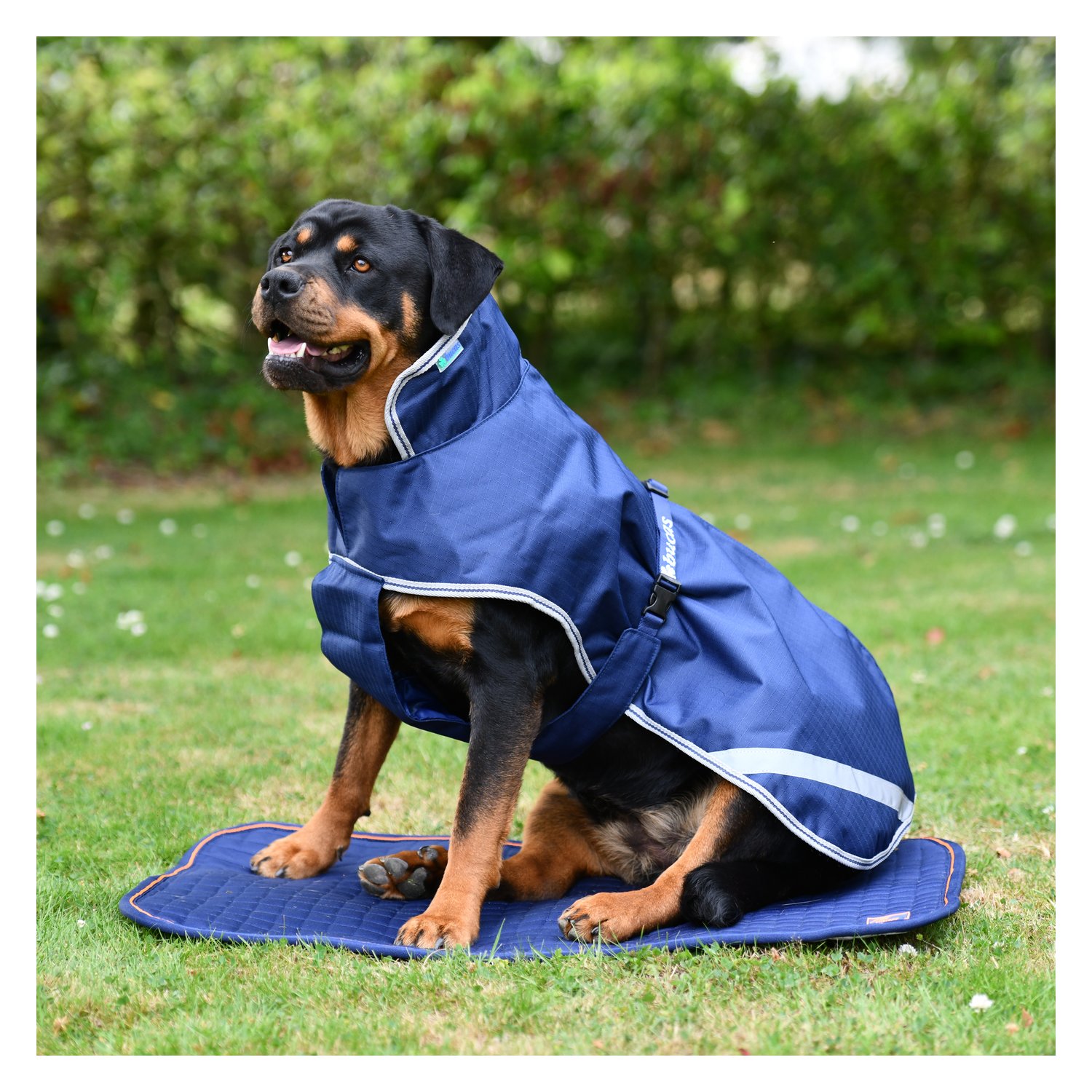 bucas Hundemantel Dog Rug Freedom 300 g - navy