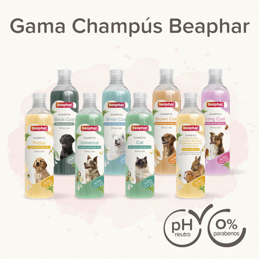 Shampoo Beaphar Extra Suave para Gatos