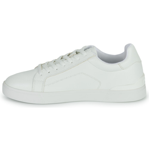 Aldo - INTROSPEC - Blanc