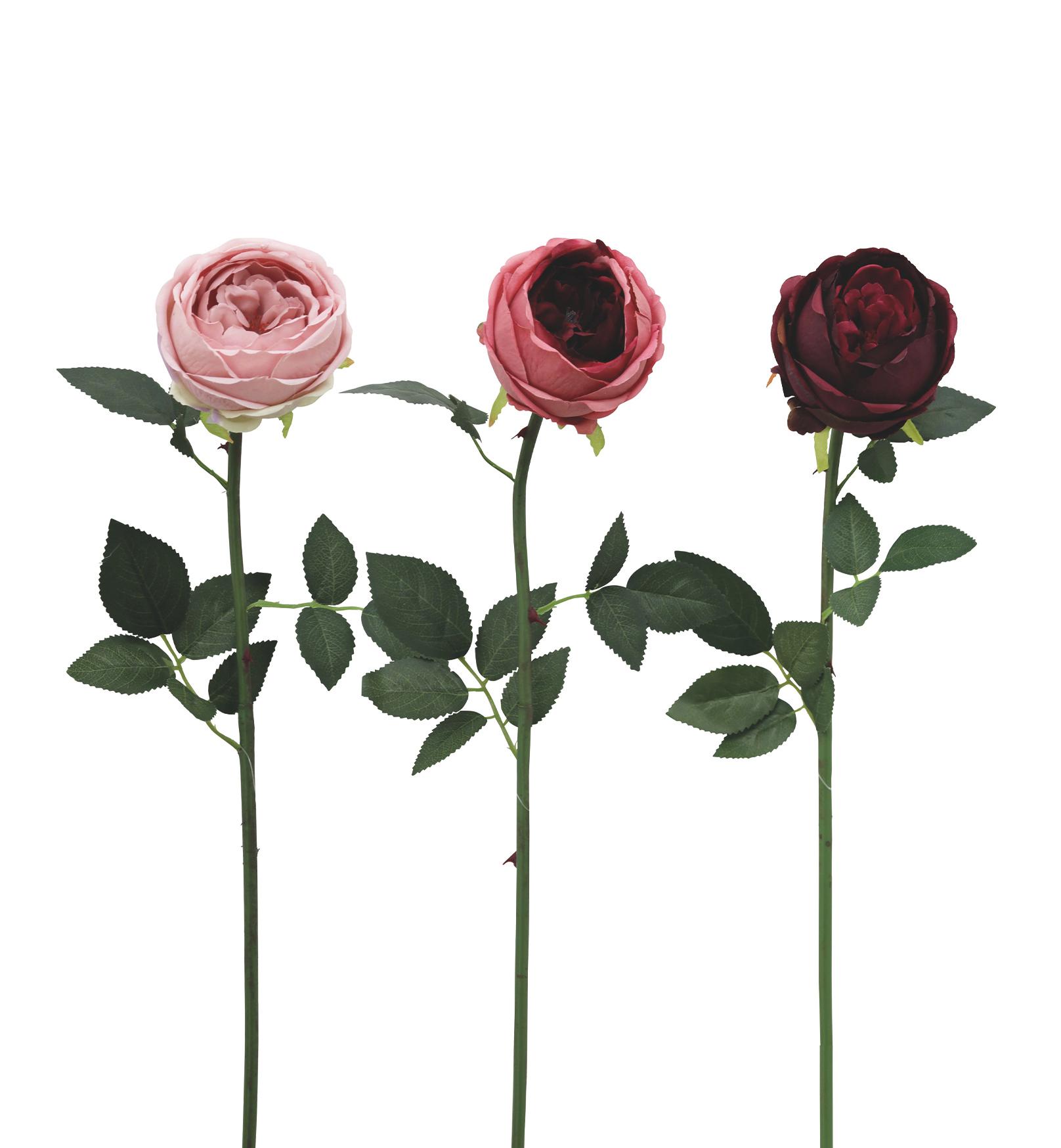 TIGE ROSE BOULE H.72CM BORDEAUX MAUVE ROSE