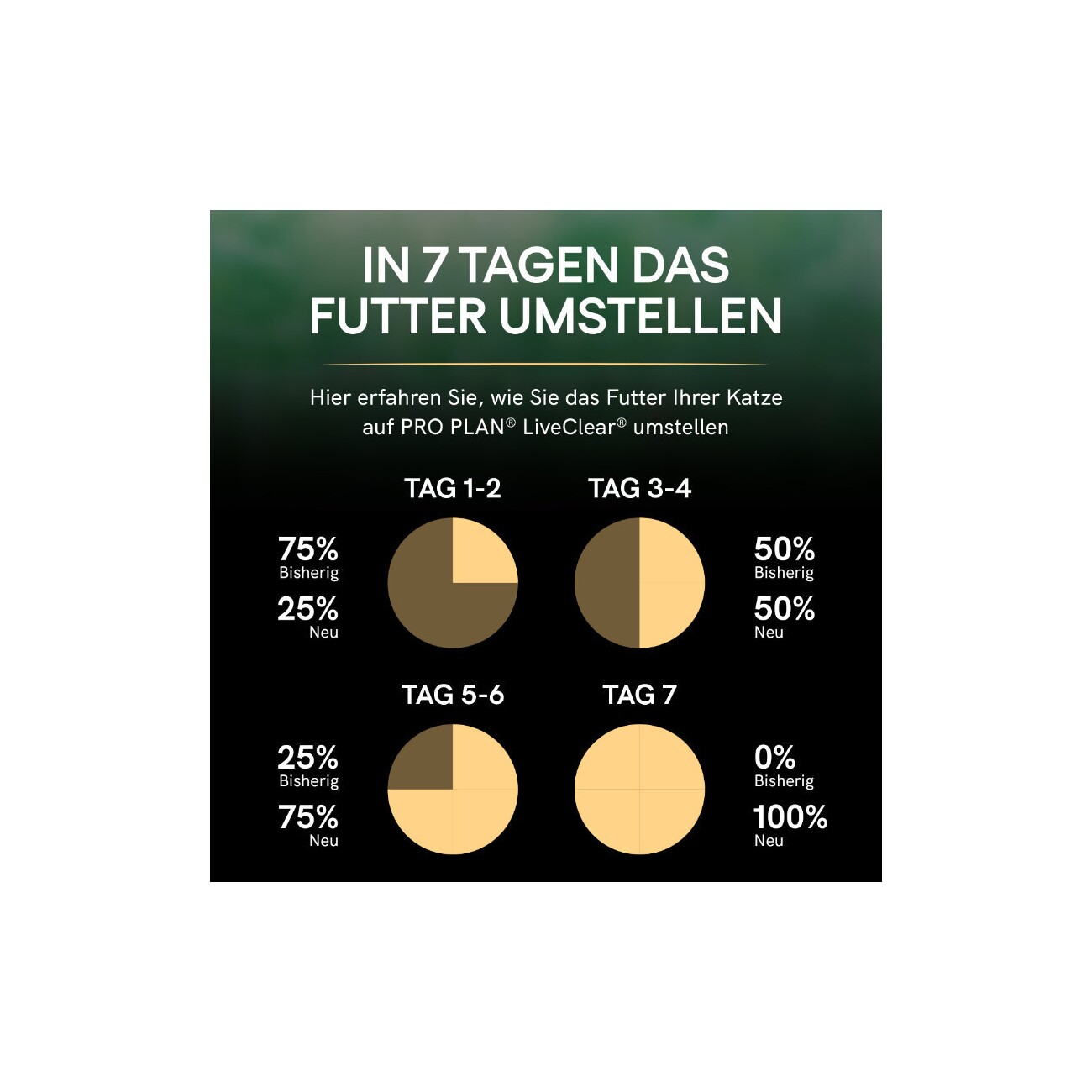 PRO PLAN Liveclear Kitten Truthahn 1,4 kg