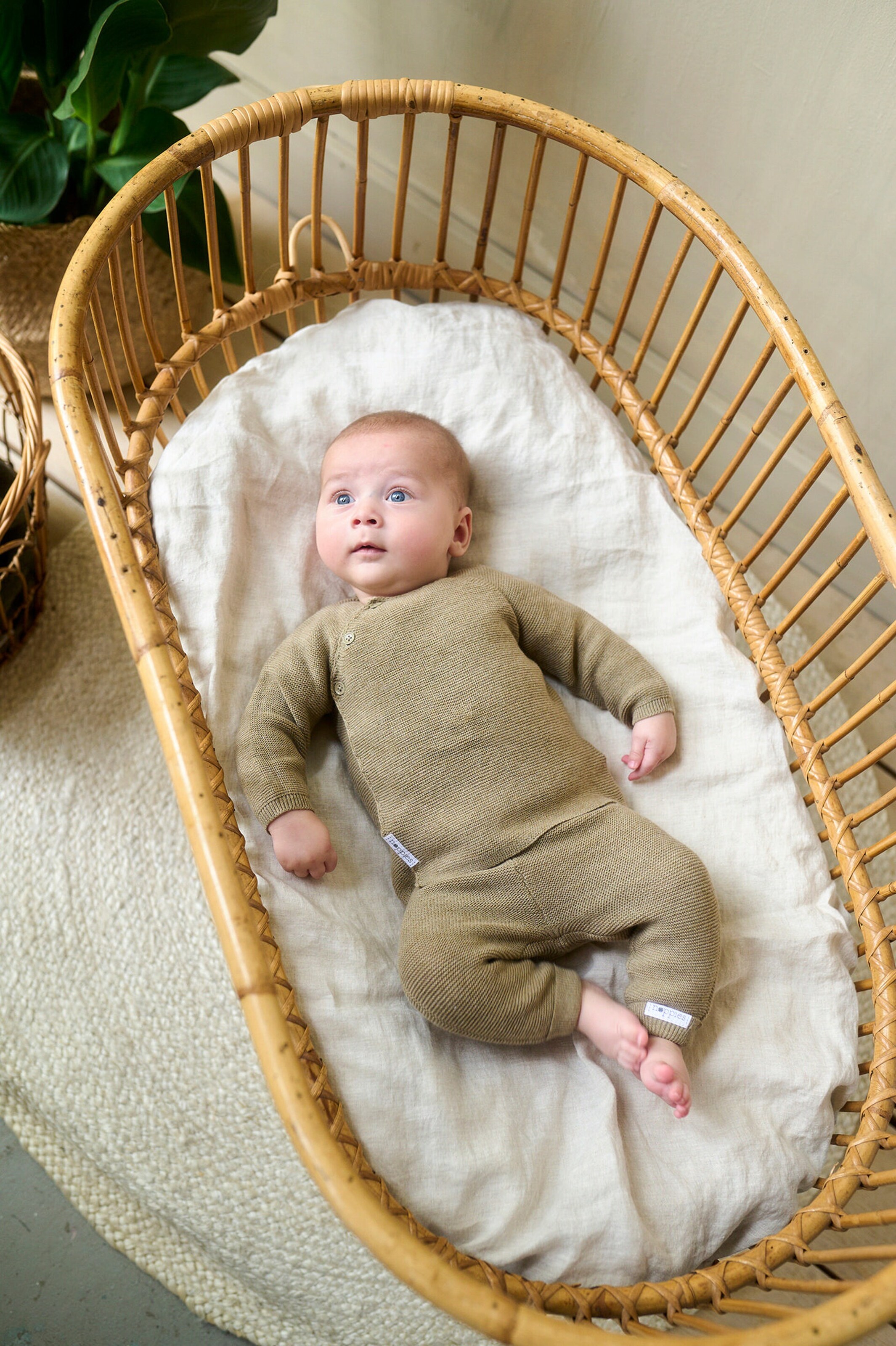 Noppies Baby Strickjacke Pino Light Green
