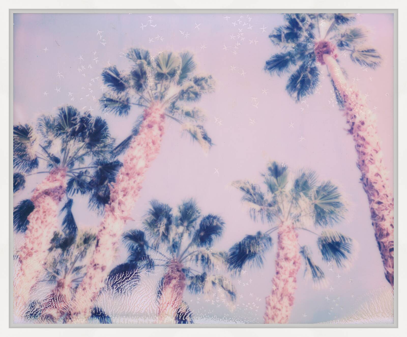 Snow Flakes by Stefanie Schneider - Limited Edition. Edition of: 150. Signed.