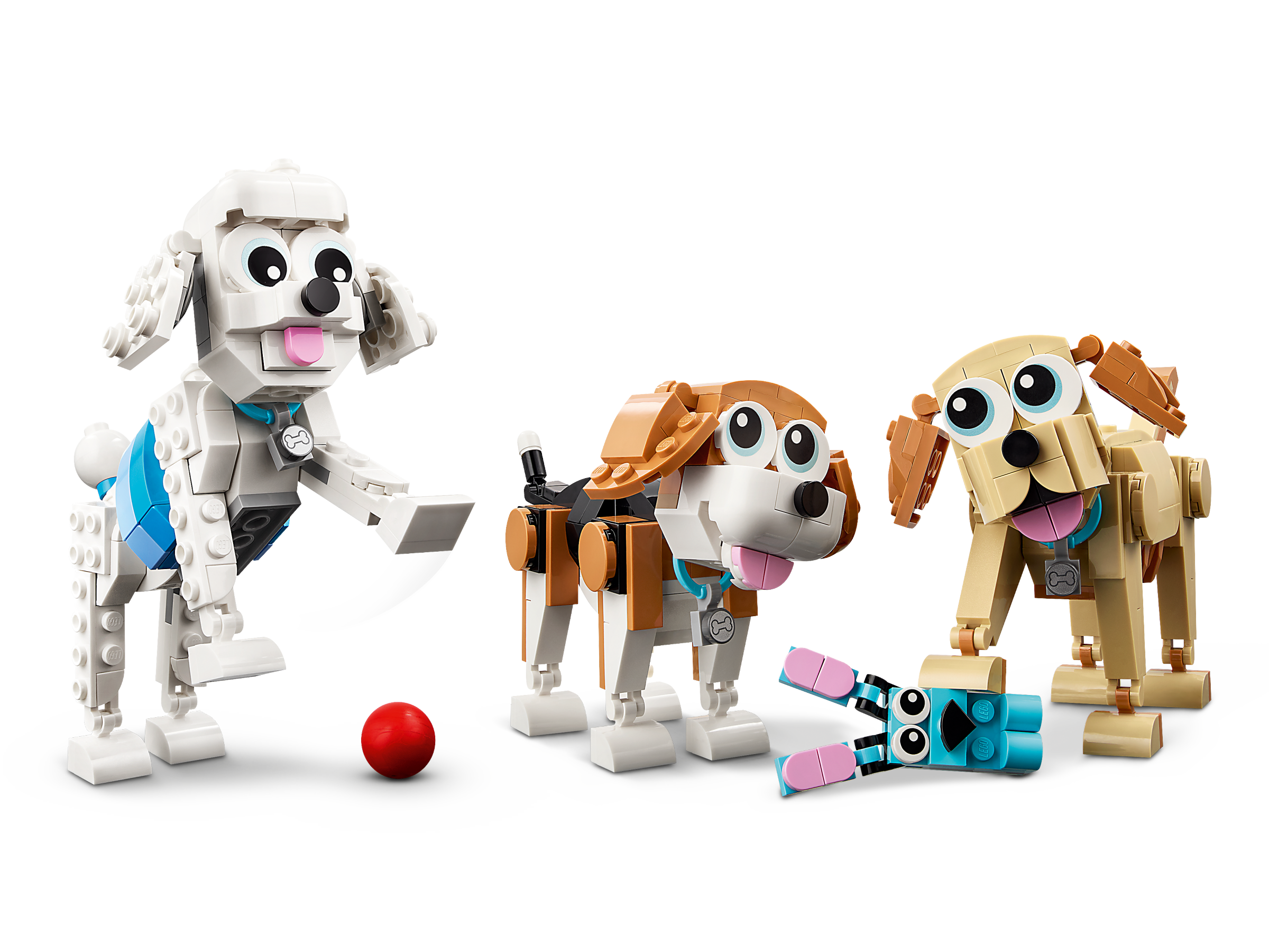 Cães adoráveis 31137