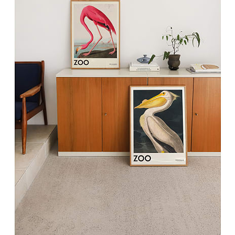 The Zoo Collection, Pelican - 50x70 cm