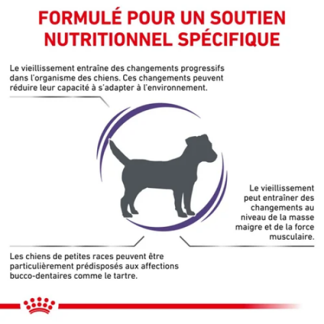 Croquettes Royal Canin Expert Care Mature Consult Senior Small Dog