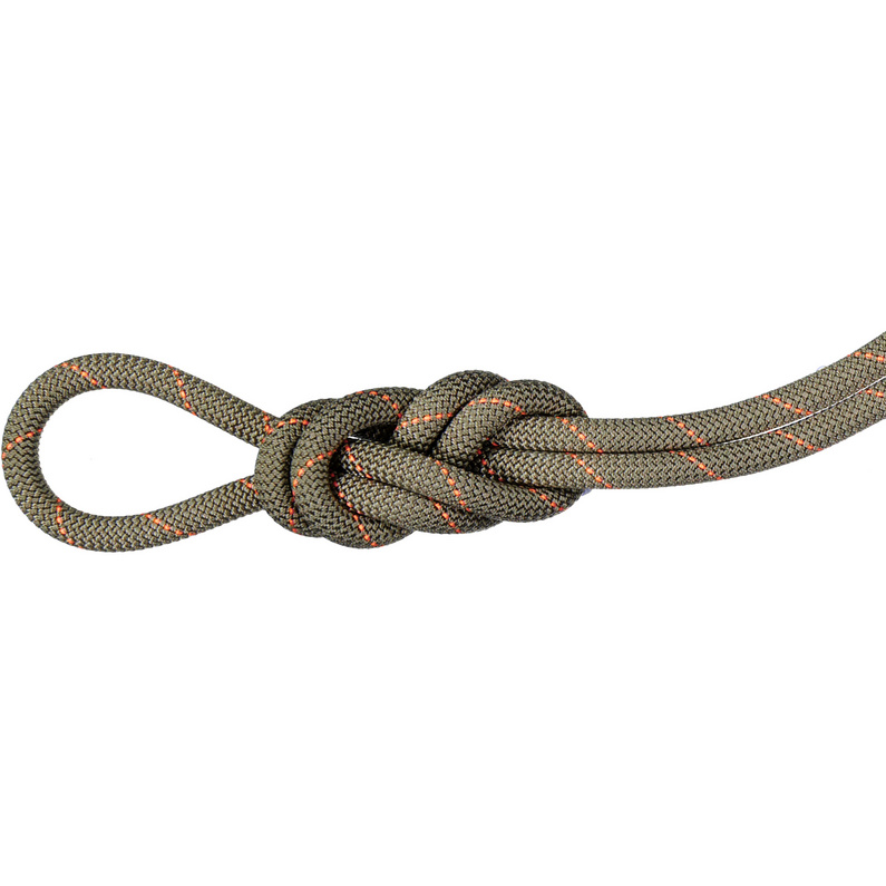Mammut 9.9 Gym Workhorse Classic Kletterseil