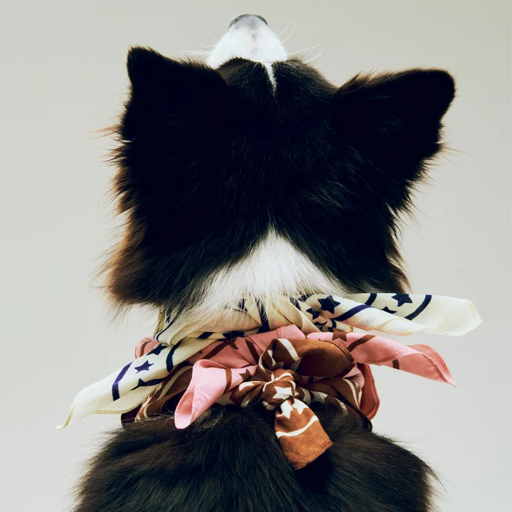 HAY - Dogs Hundetuch, recycelt, 55 x 55 cm, braun