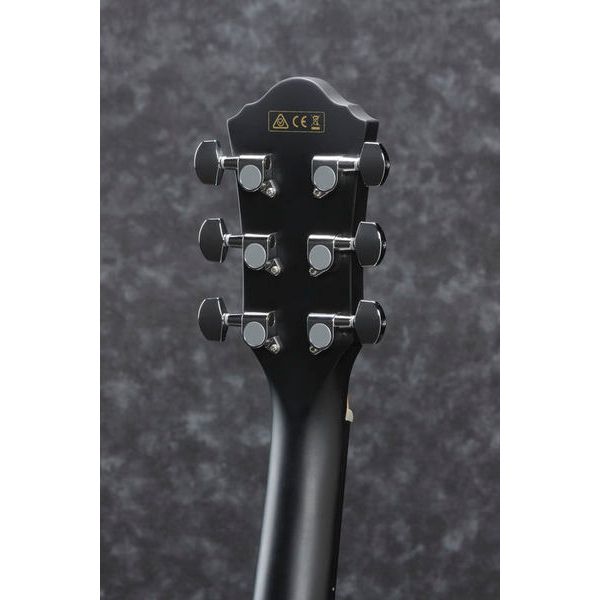 Ibanez AEG50-BK