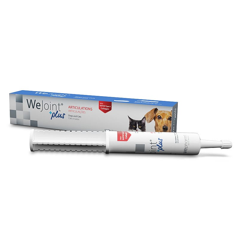 Wepharm WeJoint Plus Pasta 30 ml | 15869