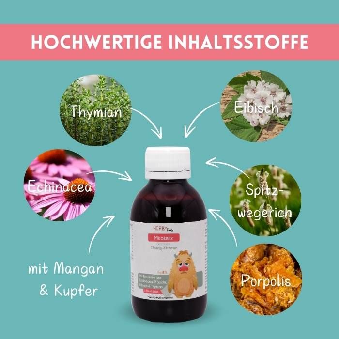 Herby Family® - Immun Duo Aktiv