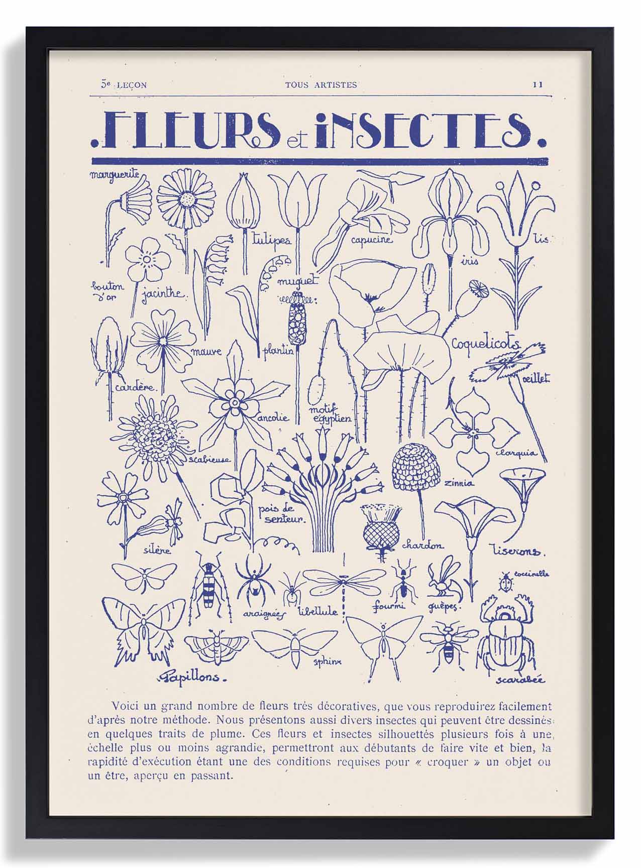 Fleurs et Insectes von Astër