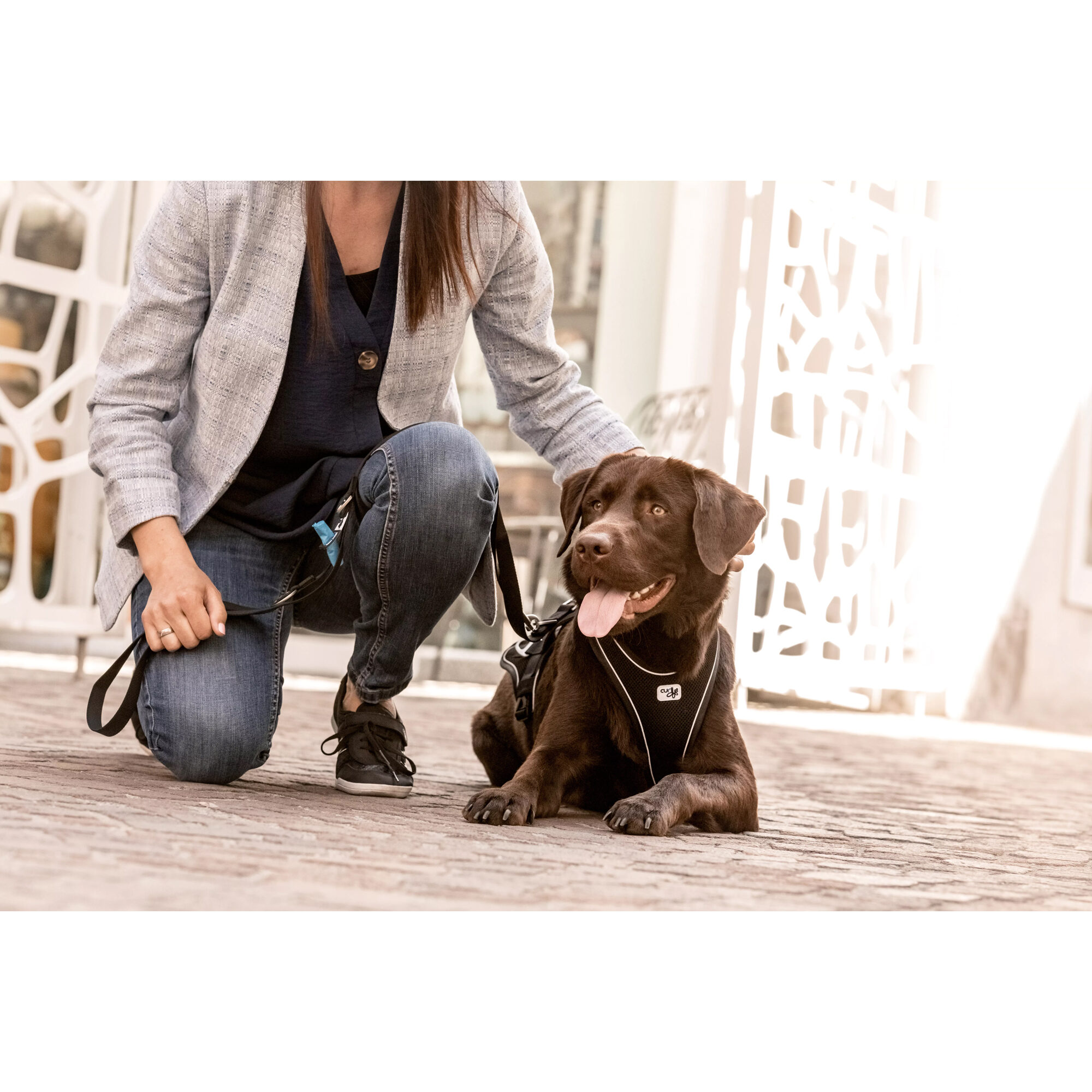 Curli Adjustable Leash Nylon