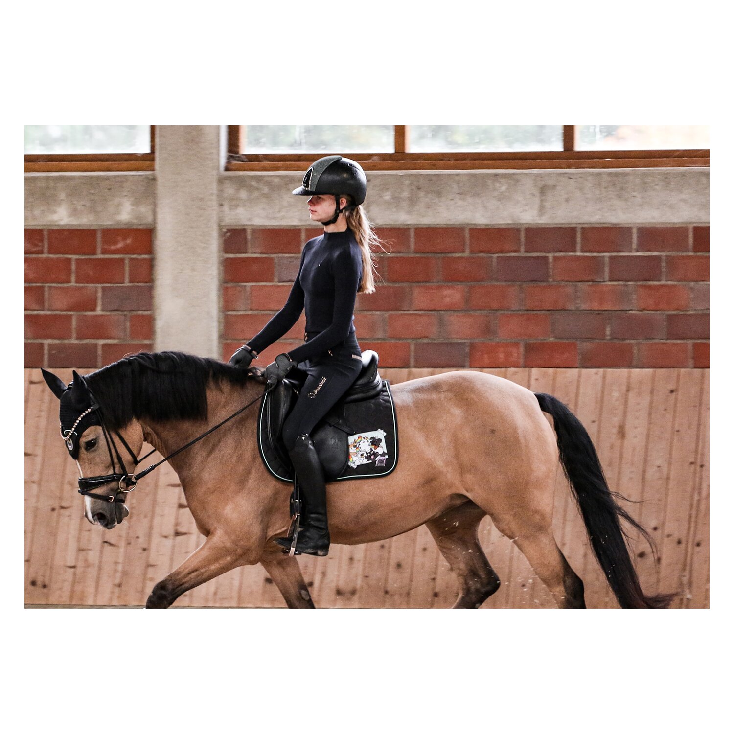 EQUEST Pummel Pets Friends Schabracke Macro Argon - black