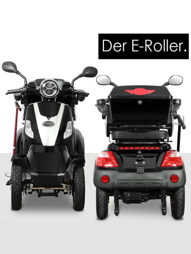 Elektroroller Theo 25 mit BG Akku