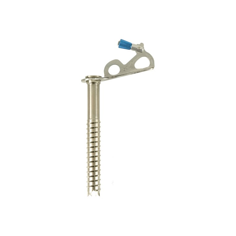 Black Diamond Express Ice Screw 16Cm