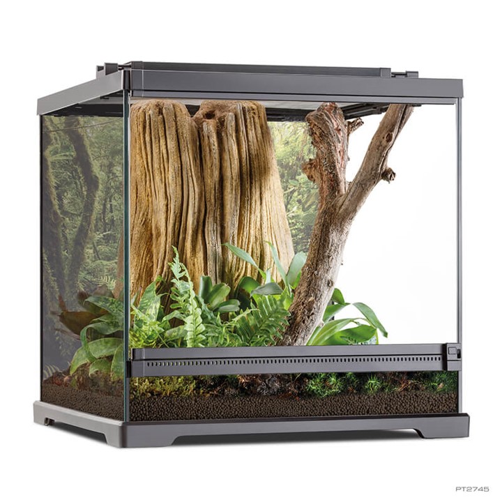 Exo Terra Frog Terrium 2746