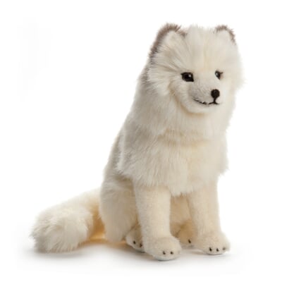 Kösener Polarfuchs