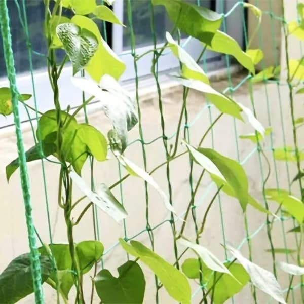 Plantenett / Støttenett for Planter - 2x20m