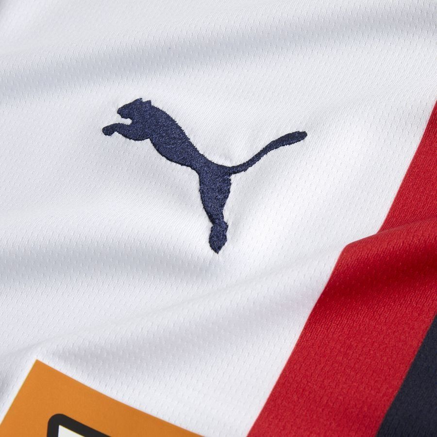 Rapid Vienne Maillot Extérieur 2024/25