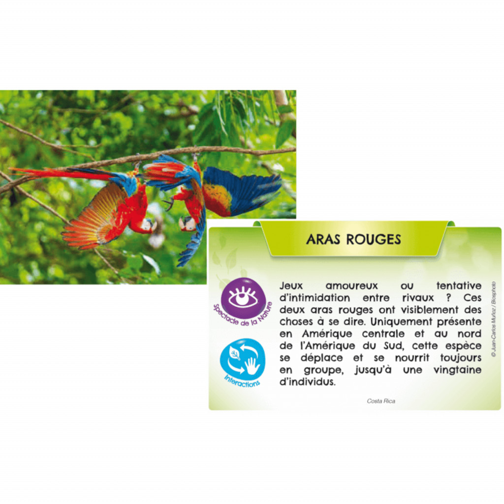 Bioviva Planète : Jungles et Forêts