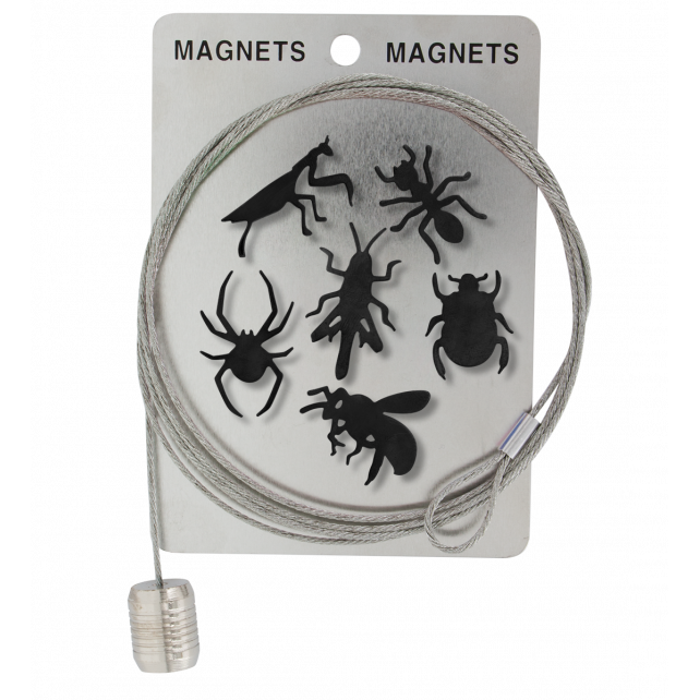 Câble porte photos et magnets - Magnetic Cable