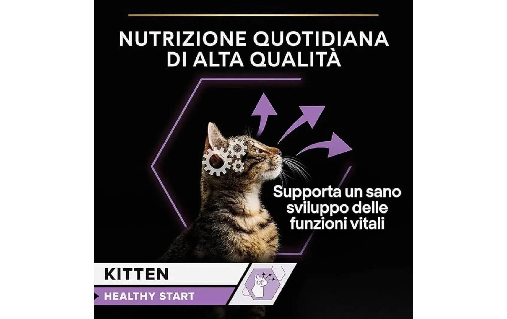 Kitten Healthy Start in Sauce mit Truthahn 26 x 85 gAlleinfuttermittel für Kätzchen